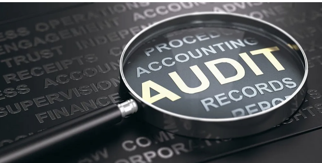 Screenshot of magnifying glass enlarging the word “audit”